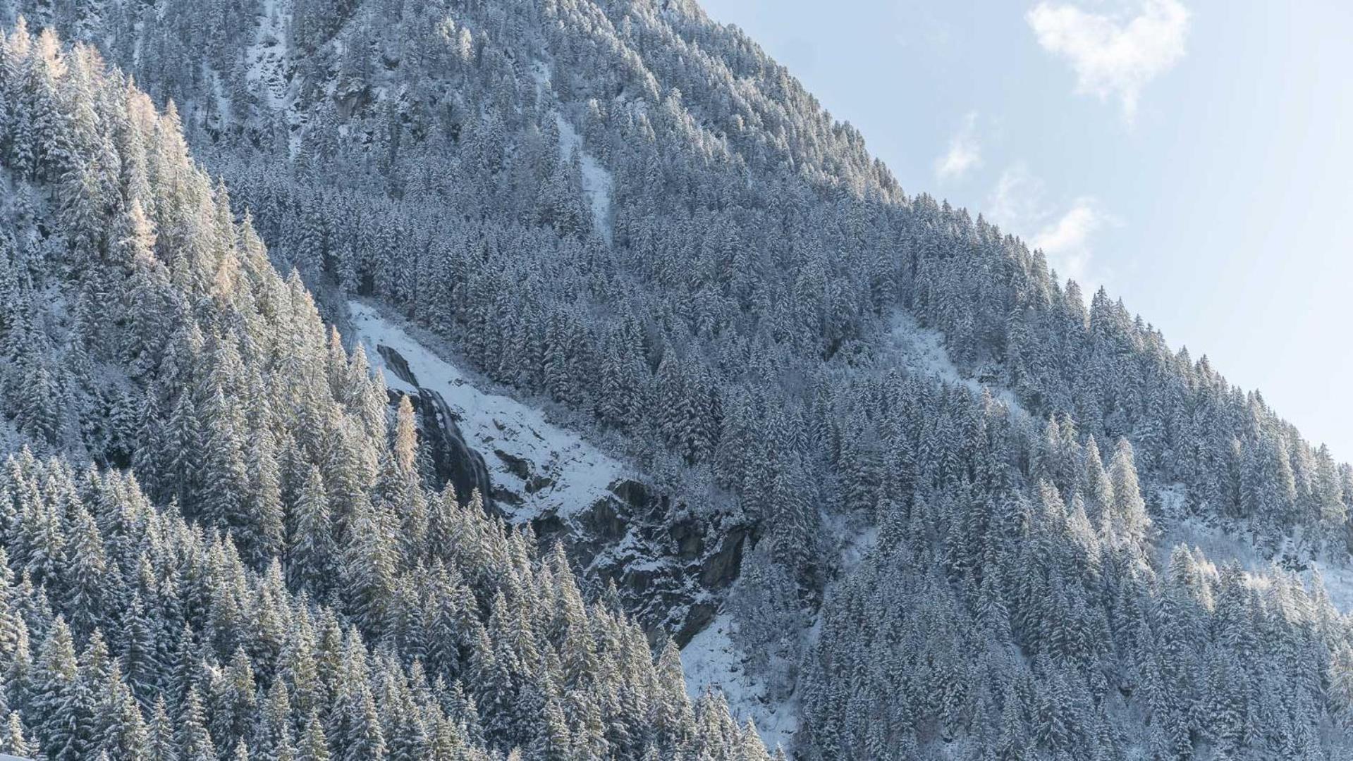 Haus Gleinser - Neustift Im Stubaital Exterior foto